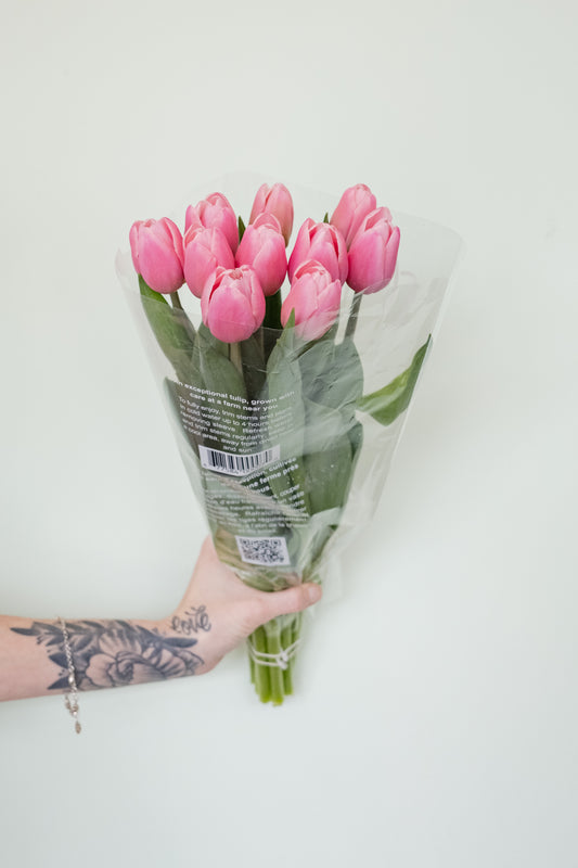 Fresh Tulip Bouquet